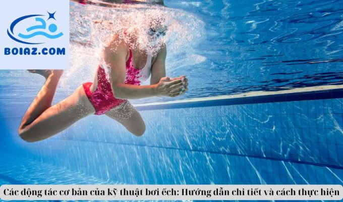 Các động tác cơ bản của kỹ thuật bơi ếch: Hướng dẫn chi tiết và cách thực hiện